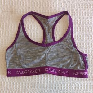 Icebreaker Gray and Purple Sports Bra for Active Comfort